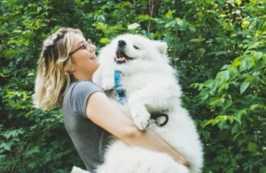 Why Regular Pet Waste Removal Matters for Your Yard