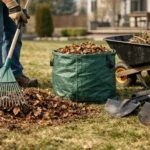 How to Clean Yard After Winter Fast